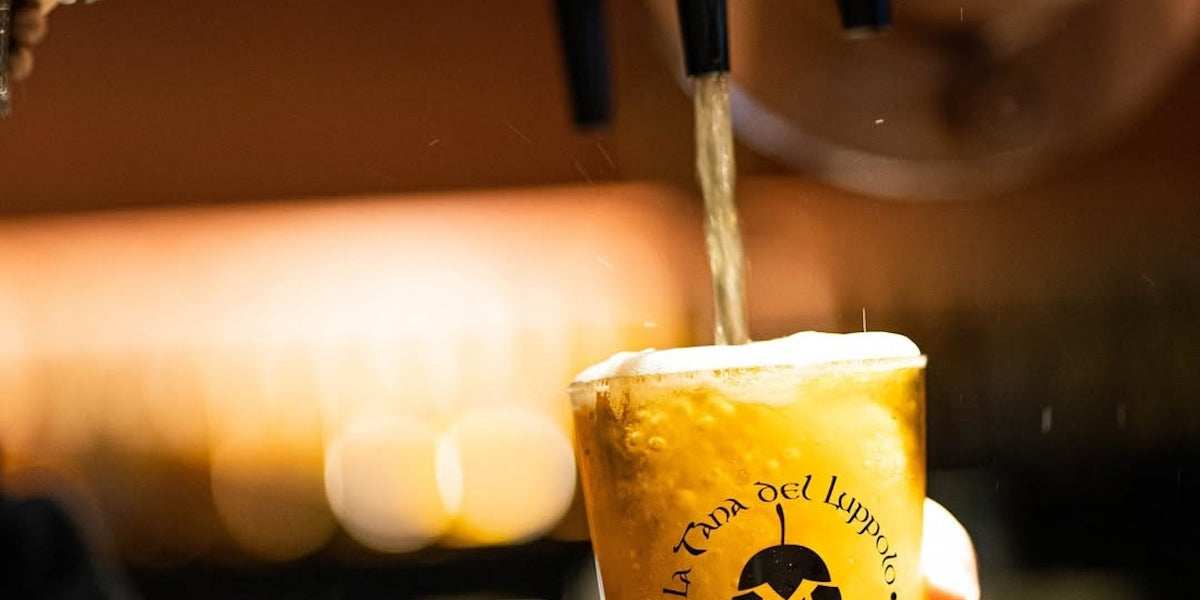 Guida Semplice all'Esame Visivo della Birra Artigianale