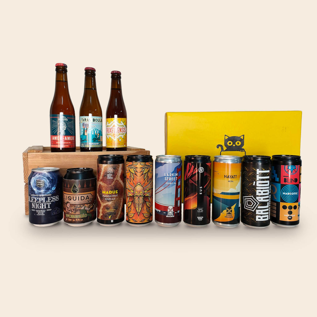 BirraBox da 12 birre artigianali "solo per veri intenditori" su sfondo crema